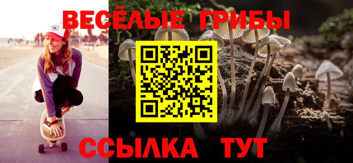 Шатура  Галлюциногенные грибы прущие грибы  Вход с VPN  Галлюциногенные грибы Cubensis 