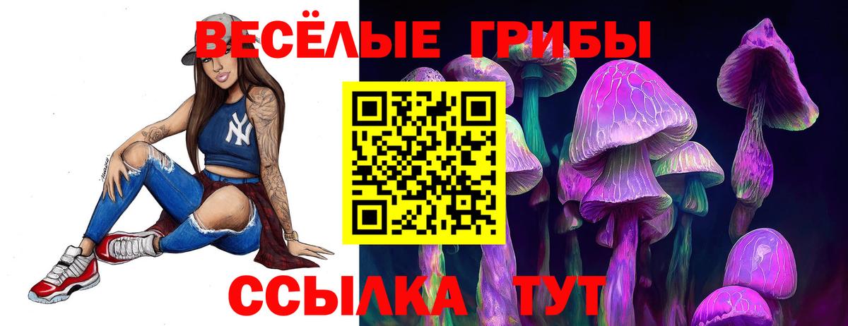 Псилоцибиновые грибы мухоморы Шатура